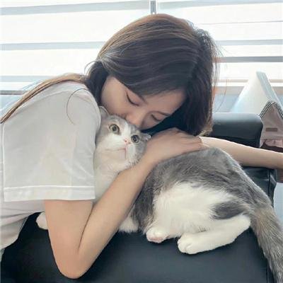 玫瑰计划
